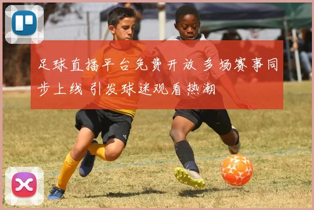 足球直播平台免费开放 多场赛事同步上线 引发球迷观看热潮