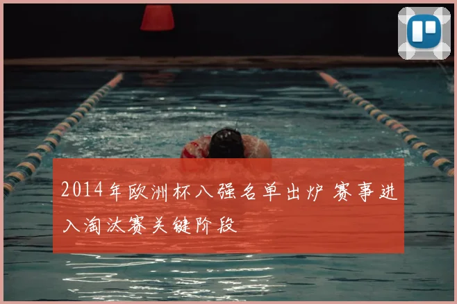2014年欧洲杯八强名单出炉 赛事进入淘汰赛关键阶段