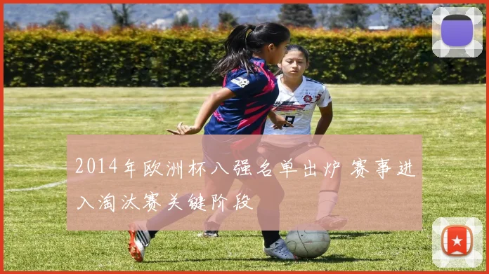 2014年欧洲杯八强名单出炉 赛事进入淘汰赛关键阶段