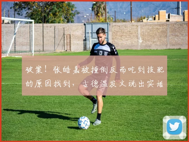 破案！张皓嘉被撞倒反而吃到技犯的原因找到，古德温发文说出实话