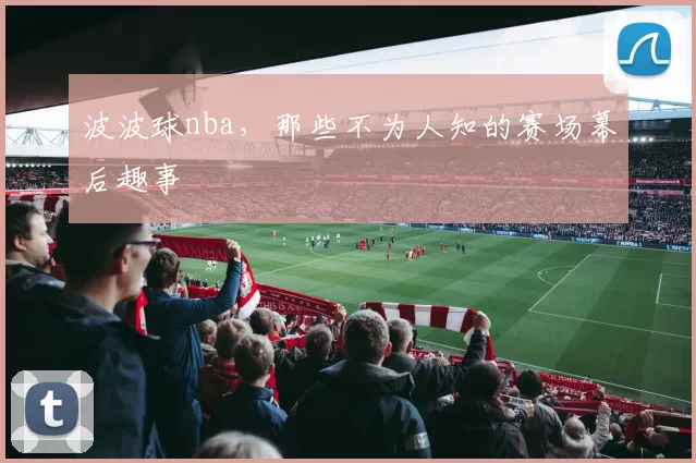 波波球nba，那些不为人知的赛场幕后趣事