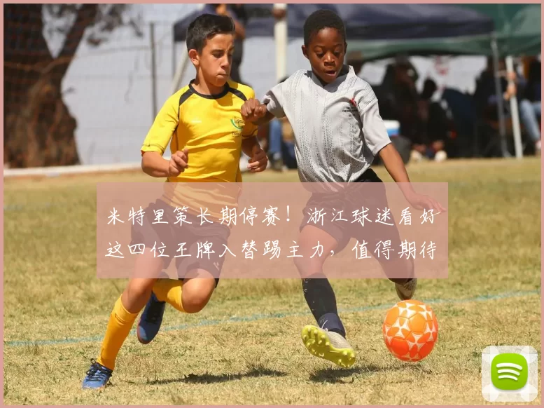 米特里策长期停赛！浙江球迷看好这四位王牌入替踢主力，值得期待