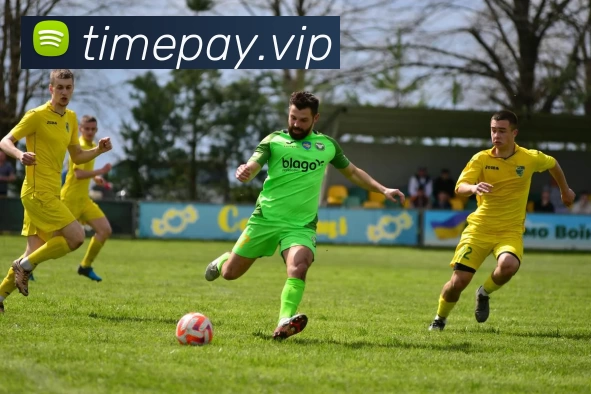 leyu乐鱼登录地址服务体系